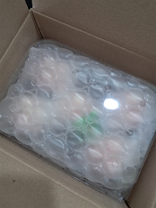 KakaoTalk_20250811_180157923_01.jpg