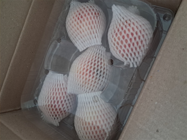 KakaoTalk_20250811_180157923_02.jpg