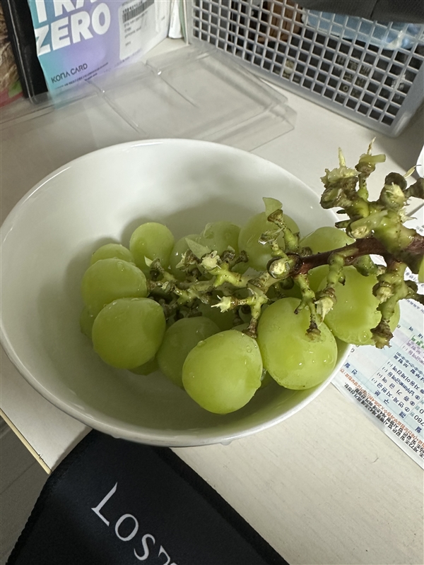 KakaoTalk_20250919_152726863_03.jpg