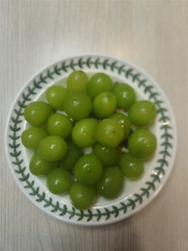 KakaoTalk_20250925_011407211.jpg